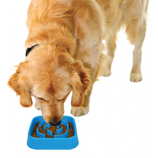 Посуд для собак Dexas Миска Slow Maze Feeder квадратна для повільного годування 960 мл блакитна (0084297309756)