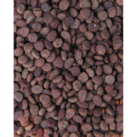 Сухий корм для кішок Carnilove True Fresh Cat Fish 340 г (8595602561414)