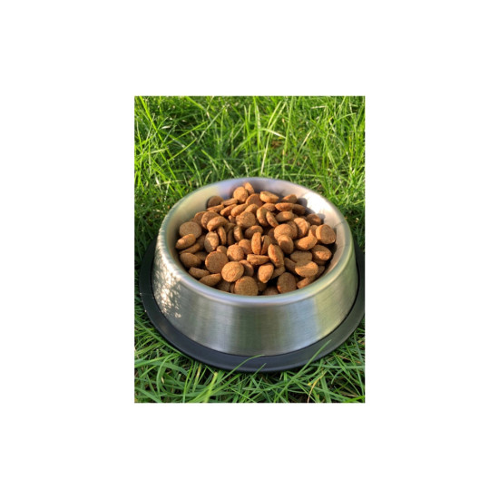 Сухий корм для собак Пан Пес Лайт 10 кг (4820111140213)