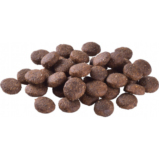 Сухий корм для собак Brit Care Dog Grain-free Junior Large Breed беззерновий з лососем 12 кг (8595602558865)