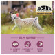 Сухий корм для кішок ACANA Highest Protein Kitten Recipe 1.8 кг (0064992723255)